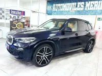 Usado BMW X5 265 CV (194 kW) 2019 Azul SUV