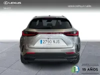 Usado Lexus NX450h+ 306 CV (225 kW) 2025 Gris SUV