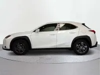 Usado Lexus UX 250h Business Edition 184 CV (135 kW) 2019 SUV