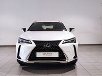 usado Lexus UX 250h Executive Navigation 2wd