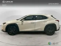 Usado Lexus UX Business Edition 184 CV (135 kW) 2022 Blanco SUV