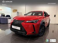 Usado Lexus UX 250h Business Edition 184 CV (135 kW) 2022 Rojo SUV