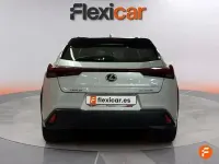 Usado Lexus UX Sport Line 199 CV (146 kW) 2024 Blanco SUV