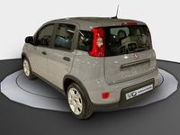 usado Fiat Panda -1.0 MHEV S/S 70CV 5P