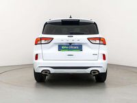 Usado Ford Kuga ST-Line X 182 CV (133 kW) 2024 Blanco SUV