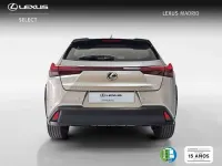 Usado Lexus UX 300h 199 CV (146 kW) 2025 Plateado SUV