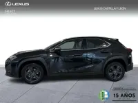 Usado Lexus UX 300h 199 CV (146 kW) 2026 Negro SUV