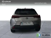 Usado Lexus UX 300h 199 CV (146 kW) 2025 Gris SUV