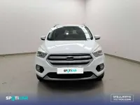 Usado Ford Kuga Trend+ 151 CV (111 kW) 2019 Blanco SUV