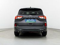 Usado Ford Kuga ST-Line 120 CV (88 kW) 2023 Gris SUV