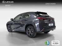 Usado Lexus UX 300h 199 CV (146 kW) 2025 Gris SUV