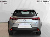 Usado Lexus UX Business Edition 184 CV (135 kW) 2022 Gris / plata SUV