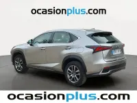 Usado Lexus NX300h Business Edition 197 CV (144 kW) 2017 Gris SUV