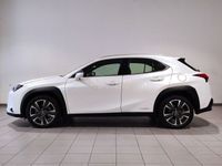 usado Lexus UX 250h Executive Navigation 2wd