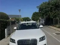 Usado Audi Q5 258 CV (189 kW) 2014 Blanco SUV