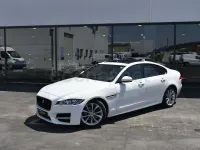 Usado Jaguar XF R-Sport 180 CV (132 kW) 2018 Blanco Berlina