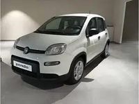 Usado Fiat Panda 70 CV (51 kW) 2023 Blanco Utilitario