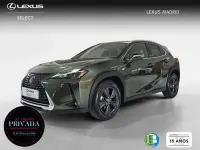Usado Lexus UX 250h 184 CV (135 kW) 2024 Verde SUV
