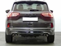 Usado Ford Kuga ST-Line 225 CV (165 kW) 2021 SUV