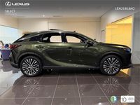 Usado Lexus RX450h+ Executive Line 309 CV (227 kW) 2025 Verde SUV