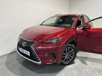 Usado Lexus NX300h Executive Line 197 CV (144 kW) 2018 Rojo SUV
