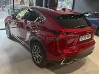 Usado Lexus NX300h Executive Line 197 CV (144 kW) 2018 Rojo SUV