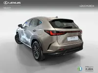 Nuevo Lexus NX350h 197 CV (144 kW) 2026 Otro
