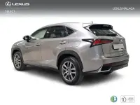 Usado Lexus NX300h Executive Line 197 CV (144 kW) 2018 Gris / plata SUV