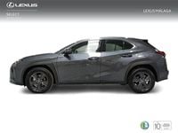 Usado Lexus UX 198 CV (145 kW) 2024 Gris SUV