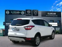 Usado Ford Kuga Trend 120 CV (88 kW) 2019 Blanco SUV