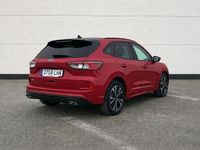 Usado Ford Kuga ST-Line X 190 CV (139 kW) 2020 SUV