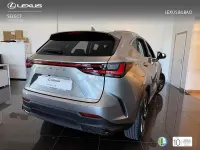 Usado Lexus NX450h+ Executive Line 292 CV (214 kW) 2026 Gris / plata SUV