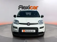 Usado Fiat Panda City Life 70 CV (51 kW) 2023 Blanco Utilitario