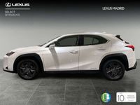 usado Lexus UX 250h Business 2WD