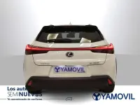 Usado Lexus UX 250h Business Edition 2022 Blanco SUV