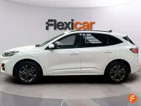 Usado Ford Kuga ST-Line 226 CV (166 kW) 2024 Blanco SUV
