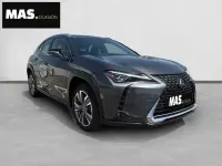 Usado Lexus UX 300e Luxury Line 150 kW (204 CV) 2022 Gris SUV
