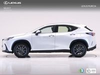 usado Lexus NX350h Business City 2wd