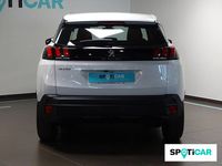 Usado Peugeot 3008 Active 131 CV (96 kW) 2023 Blanco SUV