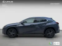 Usado Lexus UX Business Edition 184 CV (135 kW) 2022 Gris / plata SUV