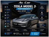 Usado Tesla Model 3 Performance 359 kW (489 CV) 2021 Gris Berlina