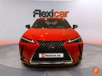Usado Lexus UX 250h Business Edition 184 CV (135 kW) 2022 Rojo SUV
