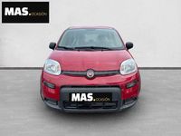 Nowe Fiat Panda 70 KM (51 kW) 2025 Czerwony Hatchback