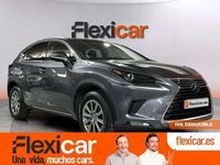 Usado Lexus NX300h Business Edition 197 CV (144 kW) 2019 Gris SUV