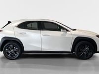 Usado Lexus UX Business Edition 184 CV (135 kW) 2023 Blanco SUV