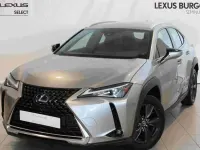 Usado Lexus UX 250h Business Edition 184 CV (135 kW) 2022 Gris SUV