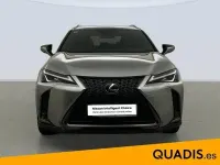 Usado Lexus UX Sport Line 184 CV (135 kW) 2020 SUV