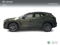 Nuevo Lexus NX350h 242 CV (177 kW) 2026 Verde SUV