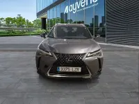 Usado Lexus UX Business Edition 184 CV (135 kW) 2022 Gris / plata SUV