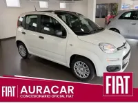 Nieuw Fiat Panda Icon 100 PK (73 kW) 2025 Wit Hatchback